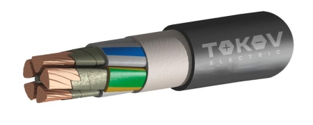 Кабель TOKOV ELECTRIC ВВГнг(А)-FRLSLTx 5х70 МС(N PE) 1кВ (м)000016524 Кабель TOKOV ELECTRIC ВВГнг(А)-FRLSLTx 5х70 МС(N PE) 1кВ (м)000016524