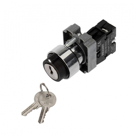 Переключатель BD21 2P с замком NO Rexant 36-5552 Переключатель BD21 2P с замком NO Rexant 36-5552