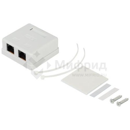 Розетка компьютерная 2-м RJ45 кат.5E неэкранир. RJ02UN Эра Б0056902