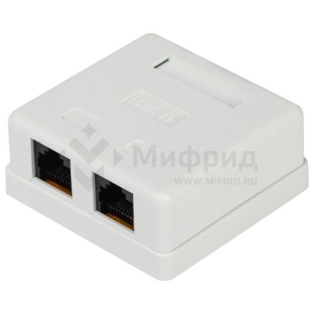 Розетка компьютерная 2-м RJ45 кат.5E неэкранир. RJ02UN Эра Б0056902