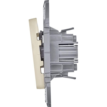 Выключатель кнопочный Inspiria 6А 250В без фиксации НО/НЗ механизм сл. кость Leg 673691