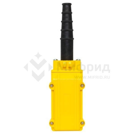 Пульт кнопочный ПКТ-61 IP65 на 2 кнопки PROxima EKF pkt-61
