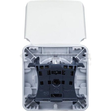 Розетка 1-м СП Plexo 16А IP55 2P+E с заземл. с крышкой немецк. стандарт винтов. клеммы механизм бел. Leg 069639