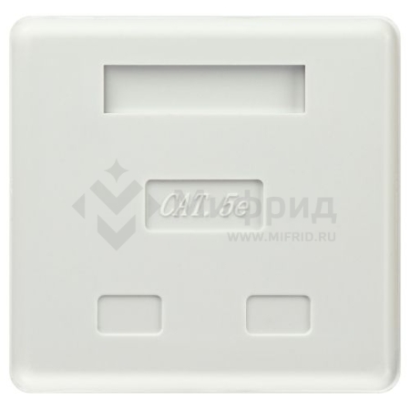 Розетка компьютерная 2-м RJ45 кат.5E неэкранир. RJ02UN Эра Б0056902