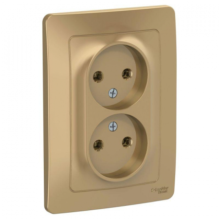 Розетка 2-м СП Blanca 16А IP20 250В без заземл. без защ. шторок титан SE BLNRS000024 Розетка 2-м СП Blanca 16А IP20 250В без заземл. без защ. шторок титан SE BLNRS000024