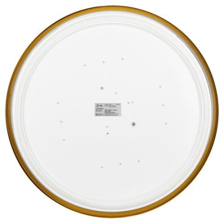 Светильник светодиодный Relict 48 Pult SPB-6-60-RC MG 60Вт 3000-6500К потолочный с ДУ золото ЭРА Б0059498 Светильник светодиодный Relict 48 Pult SPB-6-60-RC MG 60Вт 3000-6500К потолочный с ДУ золото ЭРА Б0059498