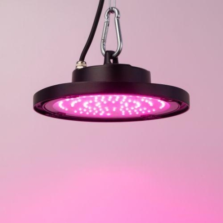 Прожектор светодиодный FITO-50W-RB-LED-UFO 50Вт для растений красн./син. спектр IP65 Эра Б0053280 Прожектор светодиодный FITO-50W-RB-LED-UFO 50Вт для растений красн./син. спектр IP65 Эра Б0053280