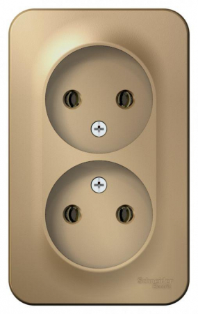 Розетка 2-м ОП Blanca 16А IP20 250В без заземл. без защ. шторок с изолир. пластиной титан SE BLNRA000214 Розетка 2-м ОП Blanca 16А IP20 250В без заземл. без защ. шторок с изолир. пластиной титан SE BLNRA000214