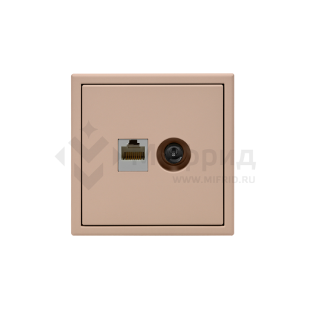 Розетка компьютерная + телевизионная 2-м СП ArtGallery RJ45 кат.5E + TV механизм песочн. SE GAL001289