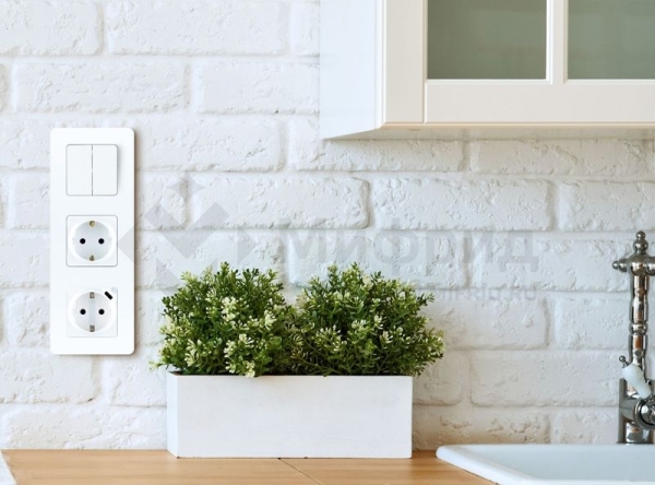 Розетка 1-м СП Inspiria 16А IP20 250В 2P+E немецк. стандарт с заряд. устройством USB тип C 1.5А 5В механизм бел. IEK 673770