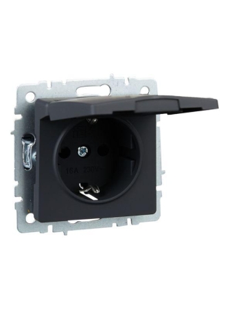 Розетка BRITE РСбш10-3-БрГ 16А IP20 с заземл. защ. шторки с крышкой механизм графит IEK BR-R16-16-K53 Розетка BRITE РСбш10-3-БрГ 16А IP20 с заземл. защ. шторки с крышкой механизм графит IEK BR-R16-16-K53