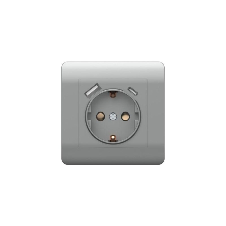 Розетка NEW3-E 16А с заземл. защ. шторки с 2-мя заряд. устройствами USB A+C 5В/2.1А серебр. CHINT 431454 Розетка NEW3-E 16А с заземл. защ. шторки с 2-мя заряд. устройствами USB A+C 5В/2.1А серебр. CHINT 431454