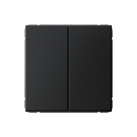 Переключатель 2-кл. ArtGallery 10AX быстрозажим. клем. механизм карбон SE GAL001065S