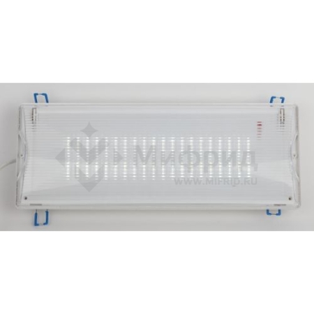 Светильник светодиодный DPA-301-0-65 IP65 40LED 3ч аварийный непостоянный Проектный Эра Б0044405