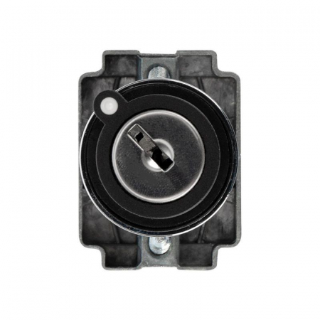 Переключатель BD21 2P с замком NO Rexant 36-5552 Переключатель BD21 2P с замком NO Rexant 36-5552