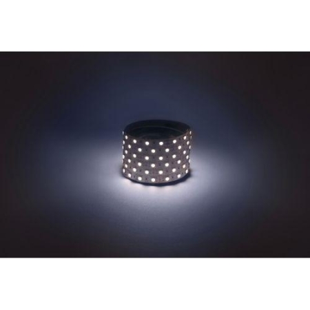 Лента светодиодная LS5050 -14.4-60-12-6500K-IP20-1 year-50m холод. бел. (уп.50м) Эра Б0059927