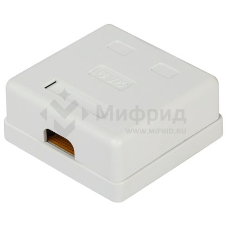 Розетка компьютерная 2-м RJ45 кат.5E неэкранир. RJ02UN Эра Б0056902
