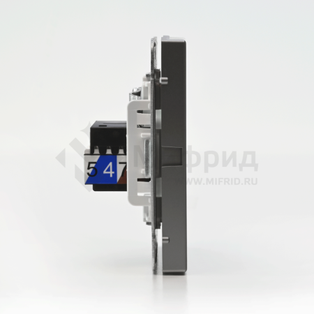 Розетка компьютерная + телевизионная 2-м СП ArtGallery RJ45 кат.5E + TV механизм сталь SE GAL000989