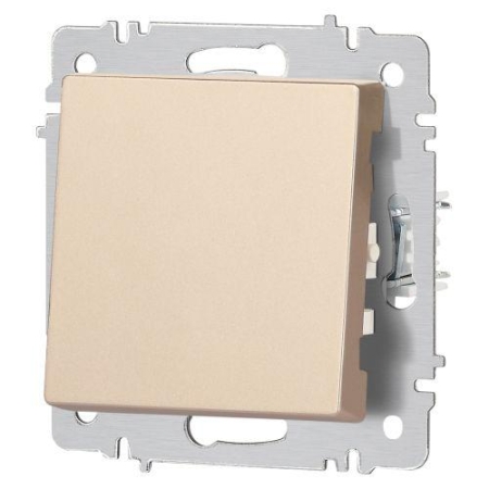 Кнопка Accent 6-109-04 10А-250В IP20 СУ шампань Intro Б0063610