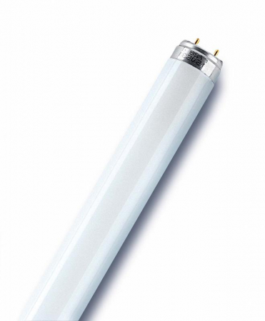 Лампа люминесцентная L 30W/765 30Вт T8 6500К G13 OSRAM 4008321959706 Лампа люминесцентная L 30W/765 30Вт T8 6500К G13 OSRAM 4008321959706