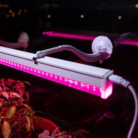 Кронштейн для фитоламп и фитосветильников FITO-Hanger на присоске Эра Б0056912